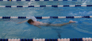 Swimmer 2015