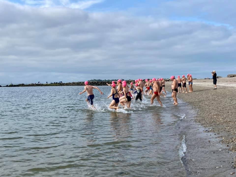 Swimmer starting race entering water at Compo Beach Point to Point