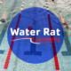 YMCA Westport Weston Water Rats 2021